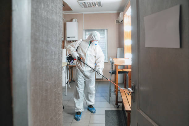Best Mold Remediation for Healthcare Facilities  in Crockett, CA