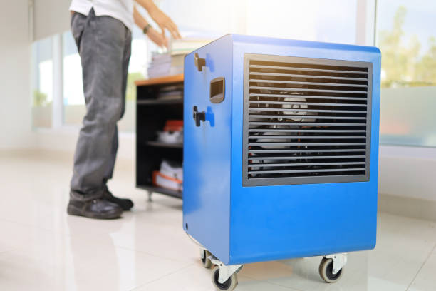 Best HVAC Mold Inspection and Cleaning  in Crockett, CA